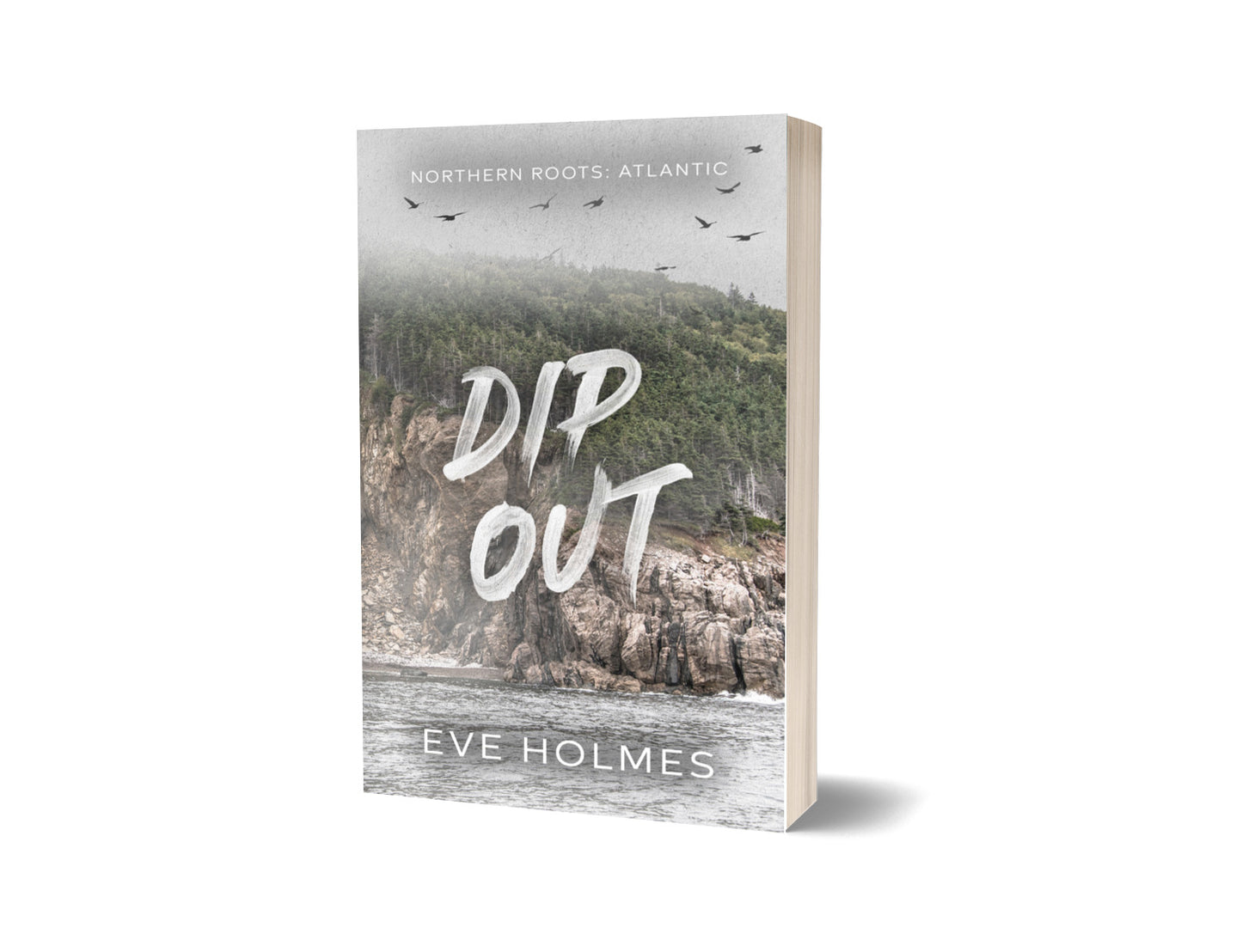 Dip Out SIGNED — Perfectly Imperfect
